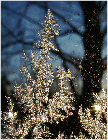 Frost in the sun.